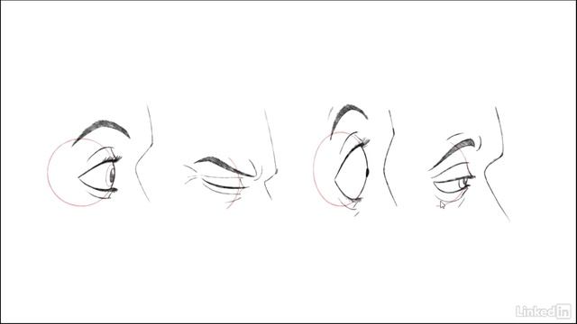 Анимация.  Конор.  Анимация. Советы и рекомендации Часть 2