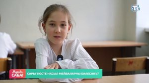 Рубрика «Балалаф». Выпуск от 14.01.2026