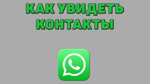Как увидеть контакты в Ватсапе