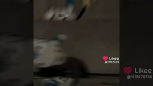 Эдит капхед и магмен.