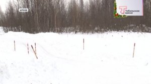 АВТОЗИМНИКИ