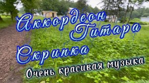 Аккордеон, гитара, скрипка, очень красивая инструментальная музыка, музыка для души