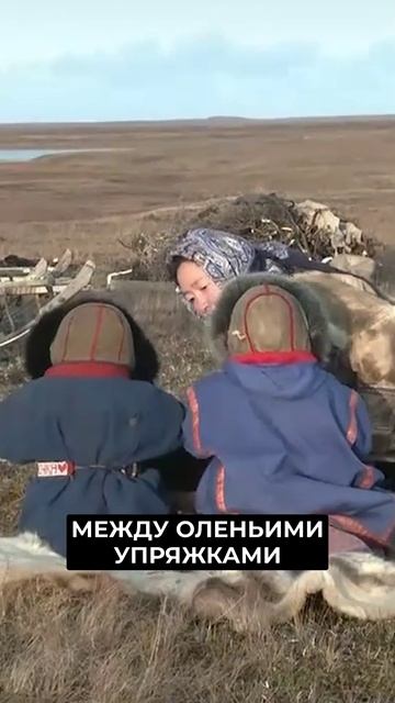 📍Как Ямал сохраняет культуру и поддерживает традиции #новости #янао смотреть онлайн