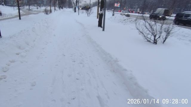 20260114092300_0017 смотреть онлайн