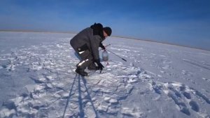 Реальный клёв на Иртыше зимой! Щука и окунь | ВКО