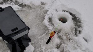 Первая рыбалка 2026 зима (07.01.2026)