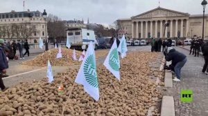 مزارعون غاضبون يفرغون شاحنة محملة بالبطاطس أمام مبنى الجمعية الوطنية في بارس