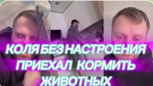 САМВЕЛ АДАМЯН, КОЛЯ БЕЗ НАСТРОЕНИЯ,ПРИЕХАЛ КОРМИТЬ ЖИВОТНЫХ,УСТРОИЛ МОЛЧАНКУ..