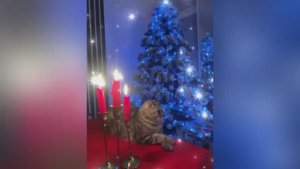 Старый Новый год 🎅