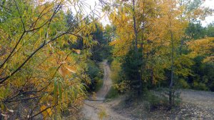 ОСЕНЬ в Забайкальском крае. (Из цикла ВРЕМЕНА ГОДА)