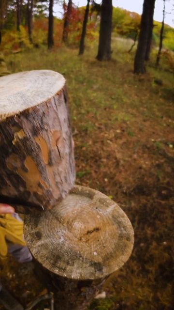 Он показал отличную идею! выживание, бушкрафт и лайфхаки смотреть онлайн