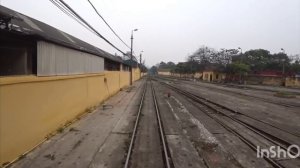 Собачка! Собачка, Собачка???