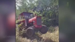 Идиоты в Деревне