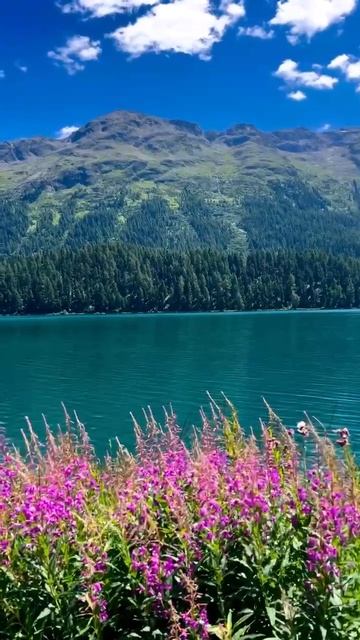 ПРИРОДНАЯ КРАСОТА смотреть онлайн