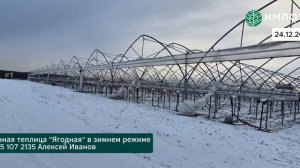 Ягодная теплица зимой и летом
