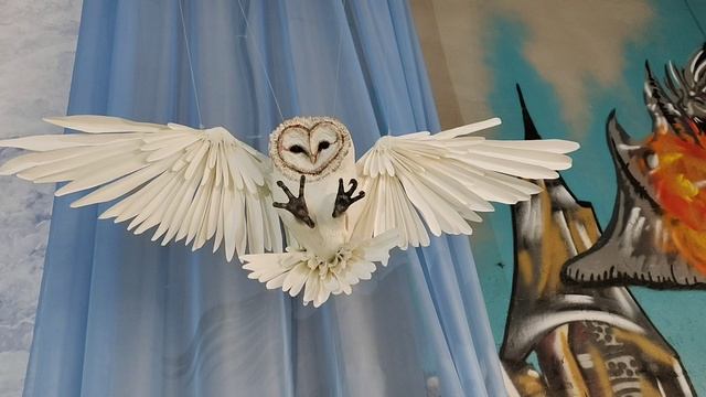 Прогулка по Костроме смотреть онлайн