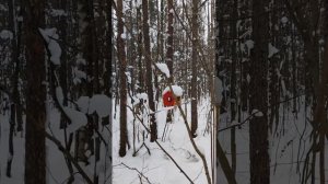 Забыли про скучный фитнес! Секрет идеальной зимней прогулки — палки и белки.