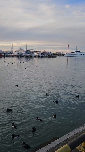 lv_0_20260109095134 смотреть онлайн