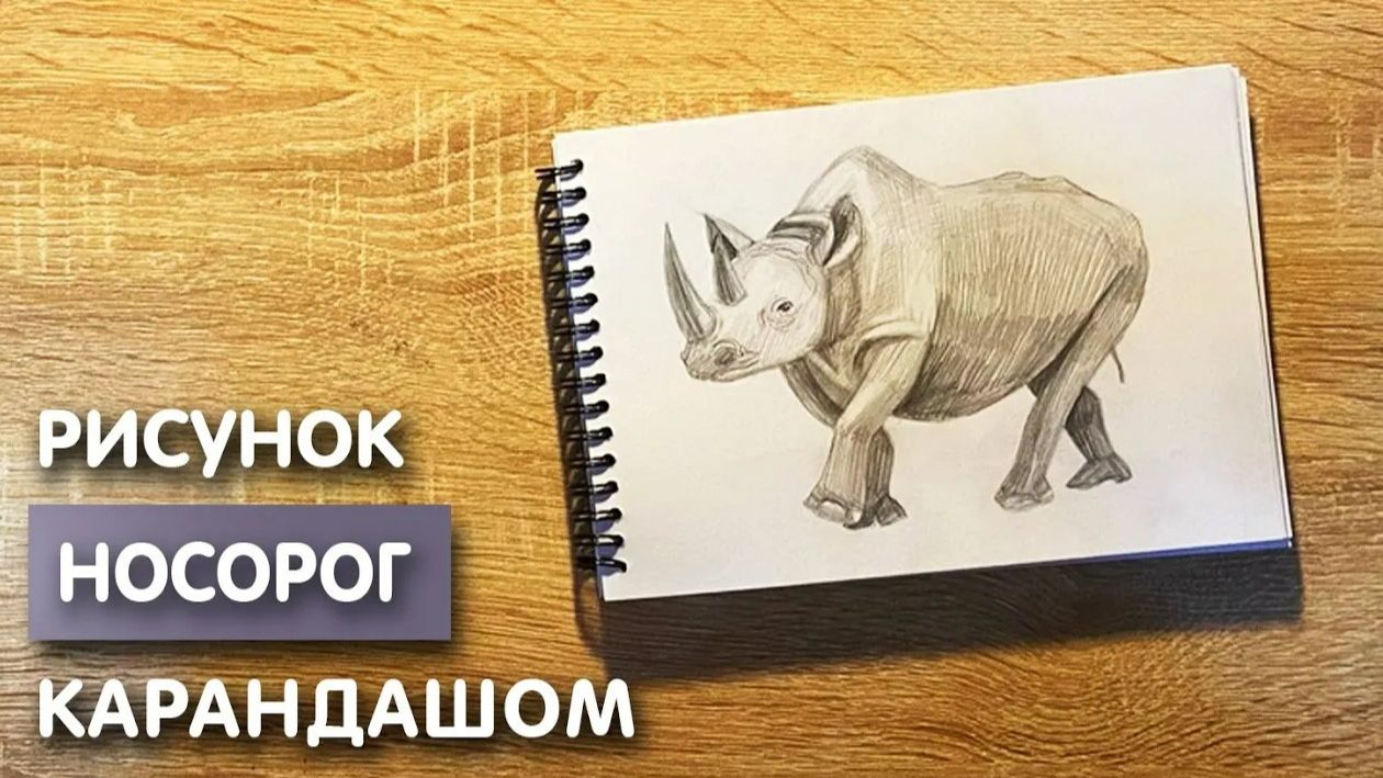 Как нарисовать носорога карандашом | Рисунок для начинающих поэтапно смотреть онлайн