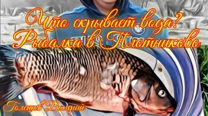 Рыбалка в Плотниково.  «Двойной улов: карась и карп в одной истории».