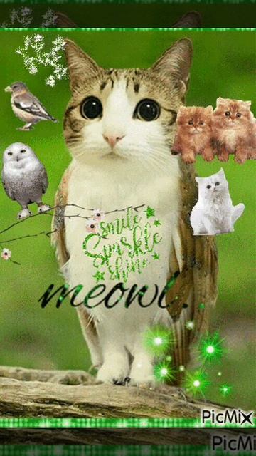 котосова Kotosova смотреть онлайн