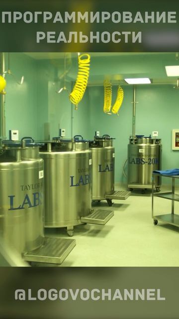 🦠 Фильм 2011 года предсказал пандемию 2019 года, КАК??! смотреть онлайн