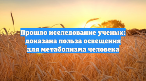 Прошло исследование ученых: доказана польза освещения для метаболизма человека