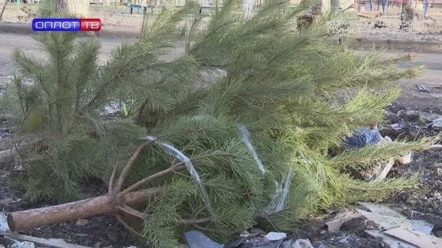 Акция «Елочный круговорот» смотреть онлайн