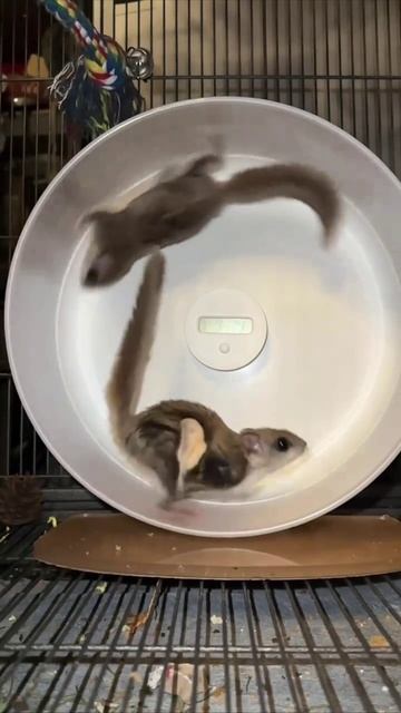 Его уже не остановить смотреть онлайн