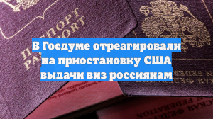 В Госдуме отреагировали на приостановку США выдачи виз россиянам
