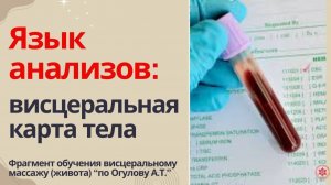 Язык анализов: висцеральная карта тела. Фрагмент обучения висцеральному массажу (живота)