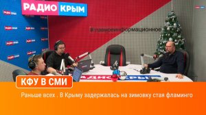 Раньше всех . В Крыму задержалась на зимовку стая фламинго