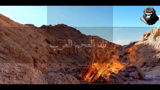 Сбывшиеся Признаки Конца по Сунне Пророка  2025 ч.1 опровержение Illuminat