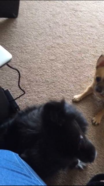 В память о Черри смотреть онлайн