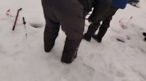 14.01.26 г. РК Волна.