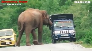 Новости Сегодня 13.01.2026 - ЧП, Катаклизмы, Россия, Москва, События Дня, Таиланд Индия США Европа