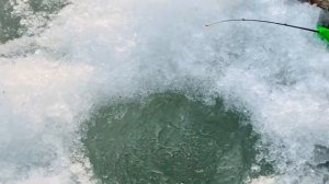 КАПЧАГАЙ РЫБАЛКА 2026.ПЕРВЫЙ ЛЕД!ВОБЛА КЛЮЕТ ДУПЛЕТОМ!