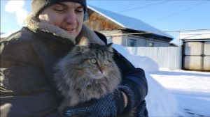ПОЕХАЛИ ЗА ПРОДУКТАМИ В МЕТРОПОЛИС / ОБЗОР ПОКУПОК