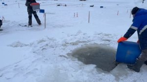 Гарантированный запуск радужной форели !!!