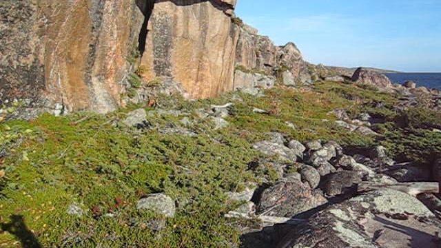 ©  «Куричья Нилокса. Осень 2007.  Камень со шляпой. Фрагмент» 2007 MVI_1249