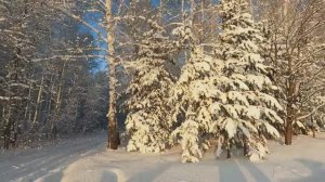 ЗАКРЫТИЕ ОХОТЫ НА СИБИРСКУЮ КОСУЛЮ.