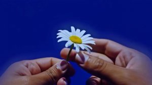 Любит!_encoded_encoded