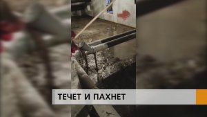«Писали всюду, а результата пока нет»