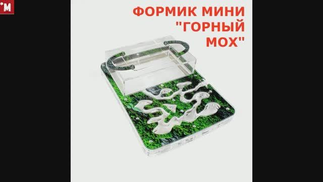 Обзор формикарий от AntPlanet. Плюсы и минусы. смотреть онлайн
