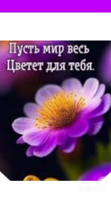 РАДУЙТЕСЬ ЖИЗНИ.😘👍❤❤❤❤❤☃️💫✨ смотреть онлайн