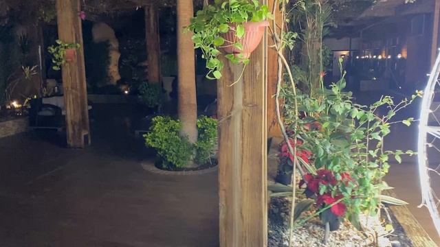 Почему не стоит ехать в отель LIDO Шарм-Эль-Шейх.