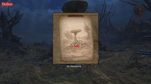 КАРТА СОКРОВИЩ ГРИБНАЯ РАВНИНА... ГДЕ ИСКАТЬ? PIONER