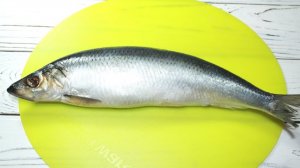 Две Закуски из одной Селедки. Две простые закуски к празднику или просто так