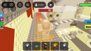 Обби ай ми гатито мяу мяу в роблокс