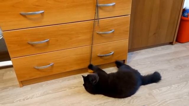 домашний влог смотреть онлайн